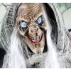 Haunted Hill Farm HHWITCH-7FLSA - 6